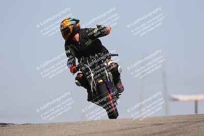 media/Oct-06-2025-2WTD (Mon) [[90522c3a0b]]/B Group/1120am (Grapevine)/